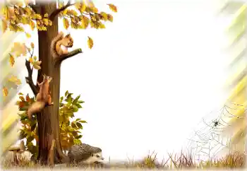 Photo Effect fra kategori Efterår № 196642