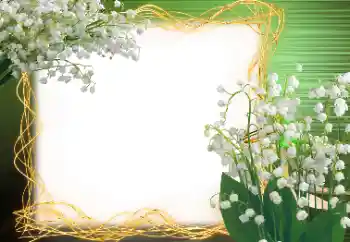 Photo Effect fra kategori Forår № 113120 Photo Effect fra kategori Forår № 113120