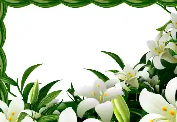 Photo Effect fra kategori Forår № 113129 Photo Effect fra kategori Forår № 113129