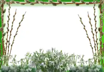 Photo Effect fra kategori Forår № 197647