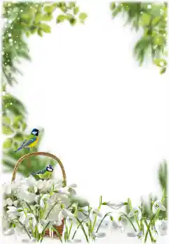 Photo Effect fra kategori Forår № 205355