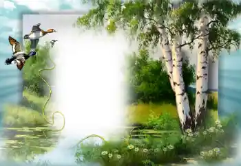 Photo Effect fra kategori Forår № 49552 Photo Effect fra kategori Forår № 49552