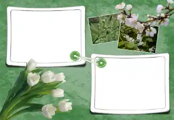 Photo Effect fra kategori Forår № 93095 Photo Effect fra kategori Forår № 93095