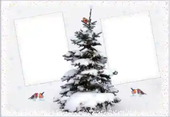 Photo Effect fra kategori Vinter № 105223
