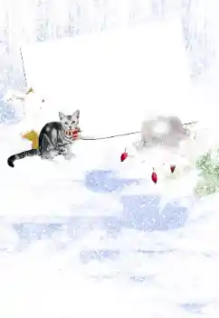 Photo Effect fra kategori Vinter № 105450
