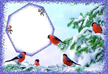 Photo Effect fra kategori Vinter № 105588 Photo Effect fra kategori Vinter № 105588