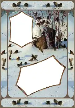 Photo Effect fra kategori Vinter № 151645