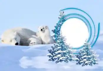 Photo Effect fra kategori Vinter № 163218
