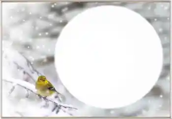 Photo Effect fra kategori Vinter № 163334