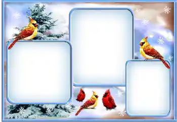 Photo Effect fra kategori Vinter № 163360