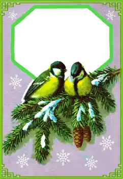 Photo Effect fra kategori Vinter № 177851