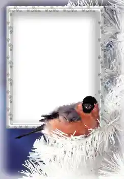 Photo Effect fra kategori Vinter № 3339