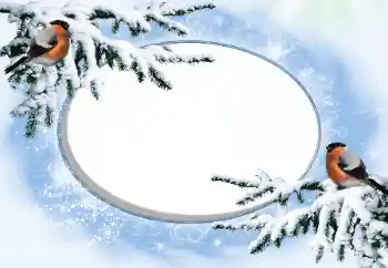 Photo Effect fra kategori Vinter № 42676