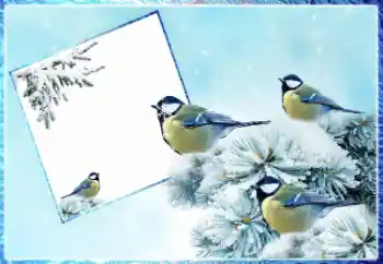 Photo Effect fra kategori Vinter № 87962