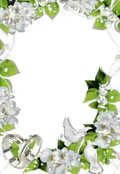Photo Effect fra kategori Bryllup rammer № 145090