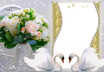 Photo Effect fra kategori Bryllup rammer № 149216