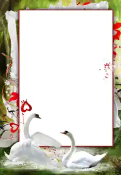 Photo Effect fra kategori Bryllup rammer № 166120