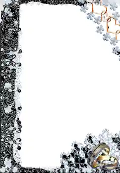 Photo Effect fra kategori Bryllup rammer № 166341
