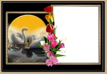 Photo Effect fra kategori Bryllup rammer № 171804