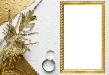 Photo Effect fra kategori Bryllup rammer № 205549