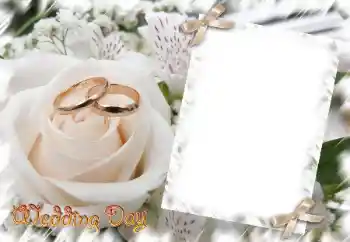 Photo Effect fra kategori Bryllup rammer № 31729. Indskriften på rammen: Wedding Day Photo Effect fra kategori Bryllup rammer № 31729. Indskriften på rammen: Wedding Day