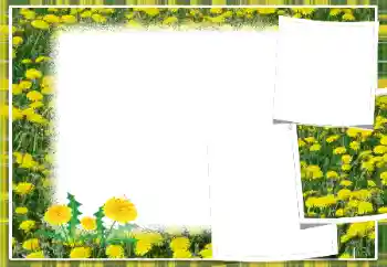 Photo Effect fra kategori Kvindelige fotorammer № 103949 Photo Effect fra kategori Kvindelige fotorammer № 103949