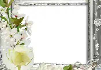 Photo Effect fra kategori Kvindelige fotorammer № 124413