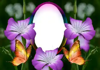 Photo Effect fra kategori Kvindelige fotorammer № 126946 Photo Effect fra kategori Kvindelige fotorammer № 126946