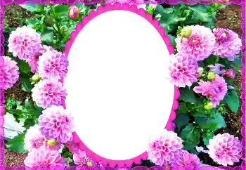 Photo Effect fra kategori Kvindelige fotorammer № 135504