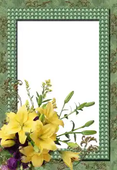 Photo Effect fra kategori Kvindelige fotorammer № 144962