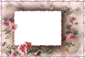 Photo Effect fra kategori Kvindelige fotorammer № 147733