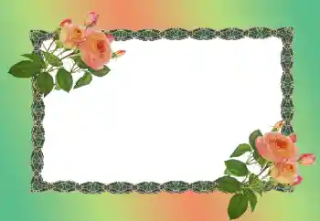 Photo Effect fra kategori Kvindelige fotorammer № 149186