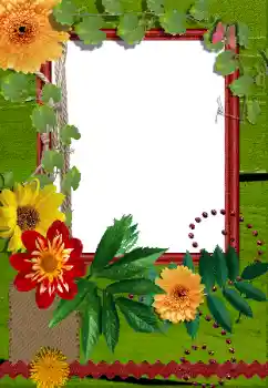 Photo Effect fra kategori Kvindelige fotorammer № 155889