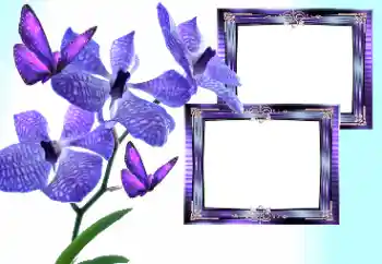 Photo Effect fra kategori Kvindelige fotorammer № 157133 Photo Effect fra kategori Kvindelige fotorammer № 157133
