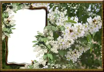 Photo Effect fra kategori Kvindelige fotorammer № 16069 Photo Effect fra kategori Kvindelige fotorammer № 16069