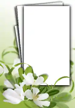 Photo Effect fra kategori Kvindelige fotorammer № 163548