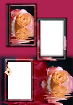 Photo Effect fra kategori Kvindelige fotorammer № 164787