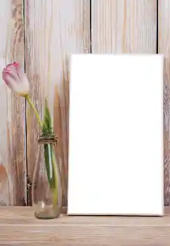 Photo Effect fra kategori Kvindelige fotorammer № 165992 Photo Effect fra kategori Kvindelige fotorammer № 165992