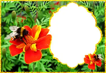 Photo Effect fra kategori Kvindelige fotorammer № 172931 Photo Effect fra kategori Kvindelige fotorammer № 172931