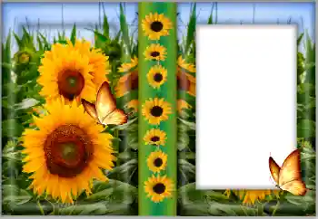 Photo Effect fra kategori Kvindelige fotorammer № 175542