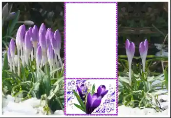 Photo Effect fra kategori Kvindelige fotorammer № 179360