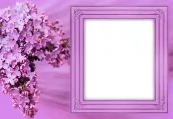 Photo Effect fra kategori Kvindelige fotorammer № 183304 Photo Effect fra kategori Kvindelige fotorammer № 183304