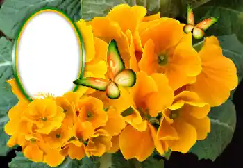 Photo Effect fra kategori Kvindelige fotorammer № 189369