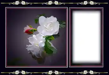 Photo Effect fra kategori Kvindelige fotorammer № 194163 Photo Effect fra kategori Kvindelige fotorammer № 194163