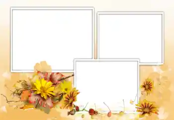 Photo Effect fra kategori Kvindelige fotorammer № 198975 Photo Effect fra kategori Kvindelige fotorammer № 198975