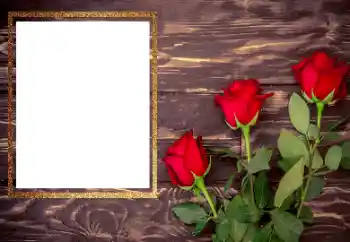 Photo Effect fra kategori Kvindelige fotorammer № 206175