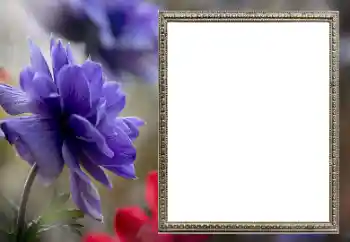 Photo Effect fra kategori Kvindelige fotorammer № 206189