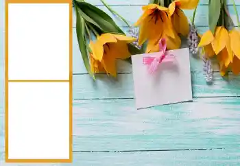 Photo Effect fra kategori Kvindelige fotorammer № 206196