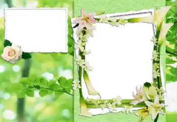 Photo Effect fra kategori Kvindelige fotorammer № 24444
