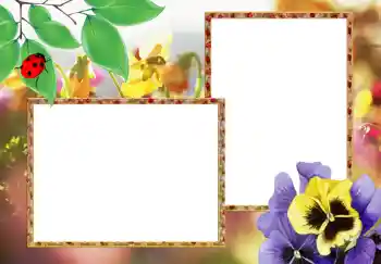 Photo Effect fra kategori Kvindelige fotorammer № 273